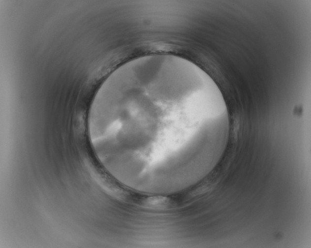 X0000113140410200910161201