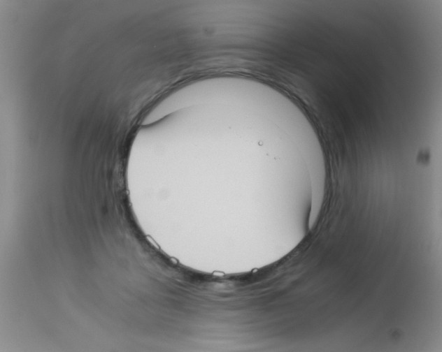 X0000113140411200910161200