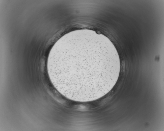 X0000113140412200910161200