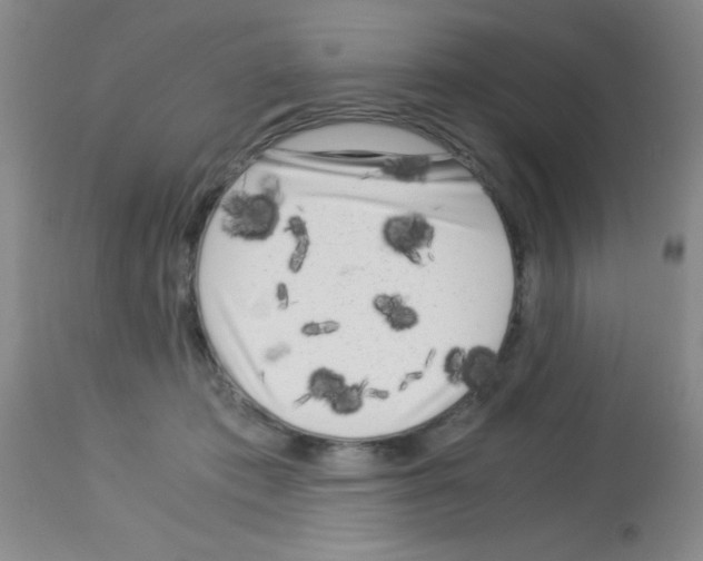 X0000113140413200910161200