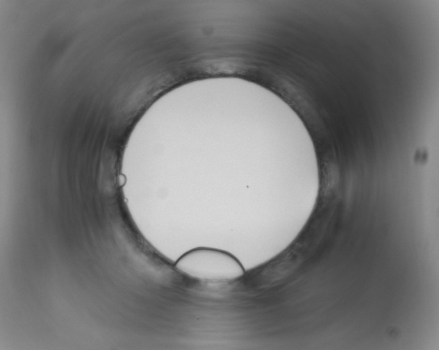 X0000113140414200910161200