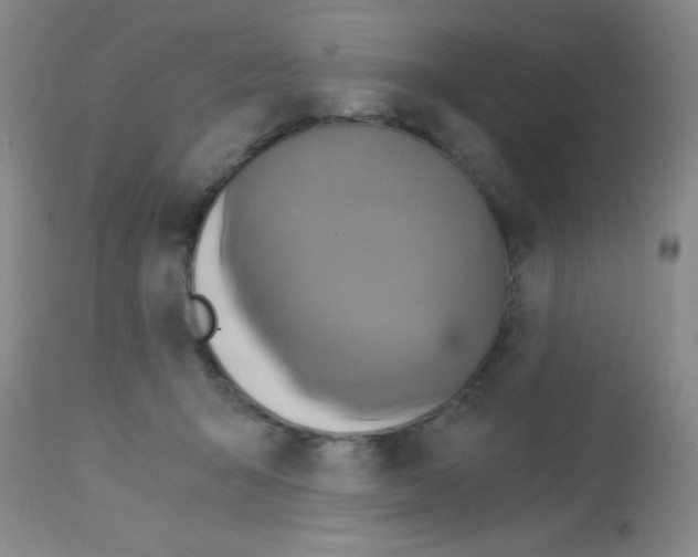 X0000113140415200910161200