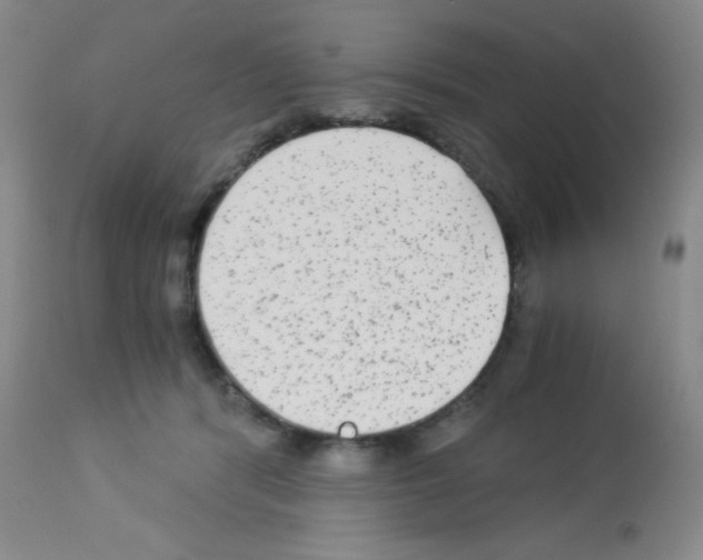 X0000113140416200910161200