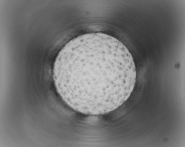 X0000113140418200910161200