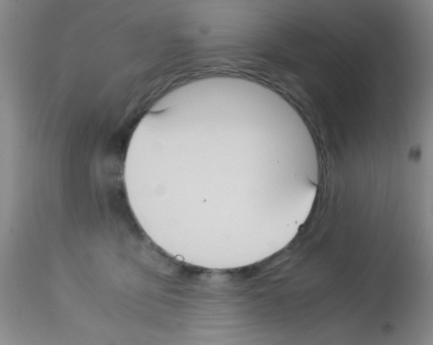 X0000113140419200910161200