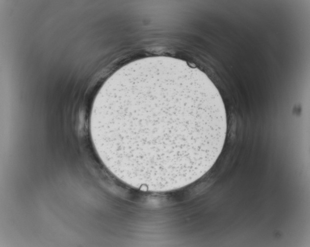 X0000113140420200910161200