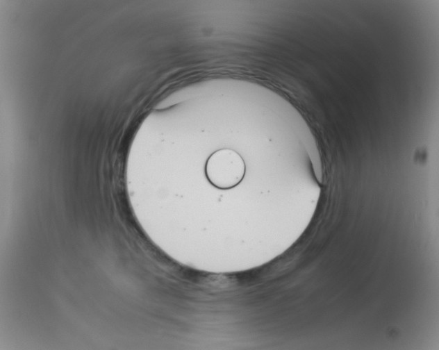 X0000113140421200910161200