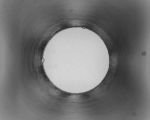 X0000113140422200910161200
