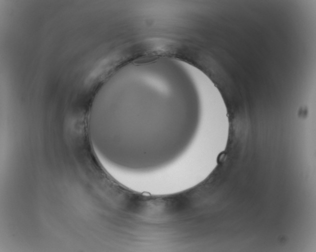 X0000113140423200910161200