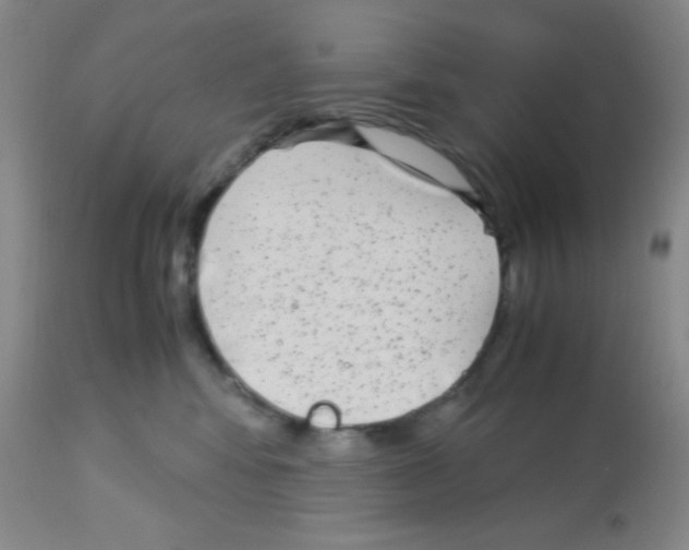 X0000113140424200910161200
