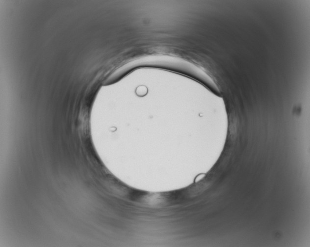 X0000113140425200910161200