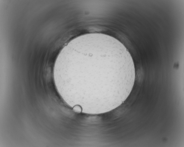 X0000113140426200910161200