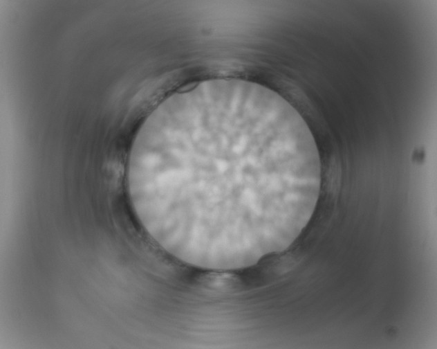 X0000113140427200910161200