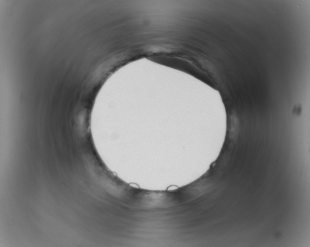 X0000113140428200910161200