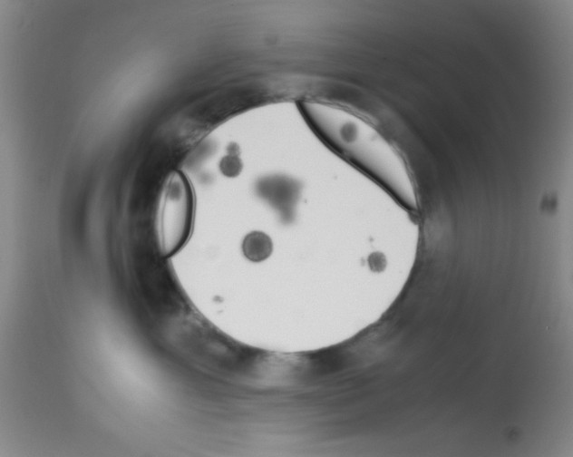 X0000113140429200910161200