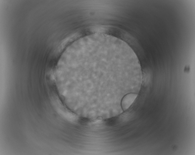 X0000113140431200910161200