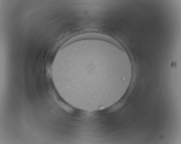 X0000113140432200910161200