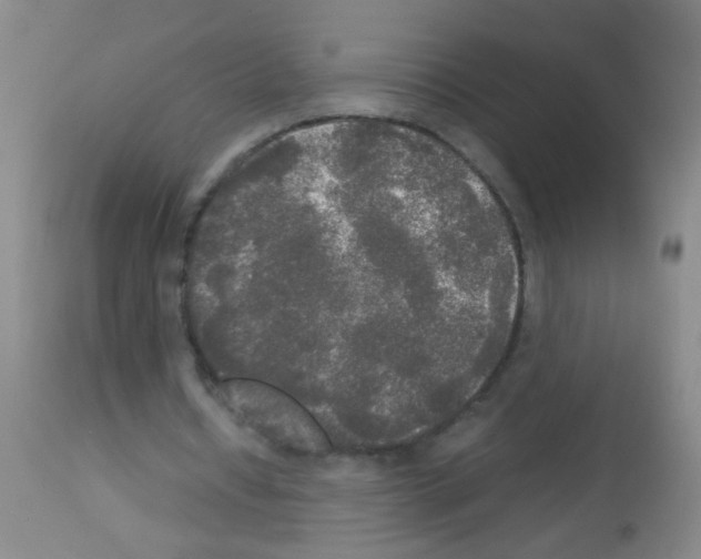 X0000113140434200910161159