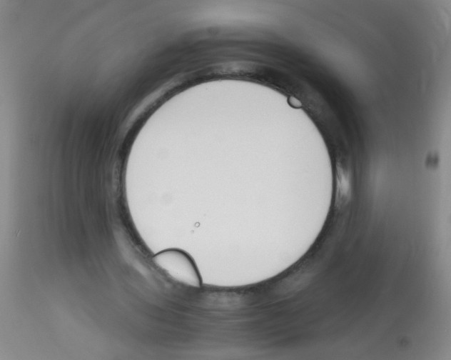 X0000113140435200910161159