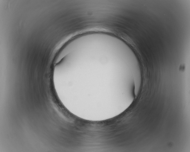 X0000113140436200910161159