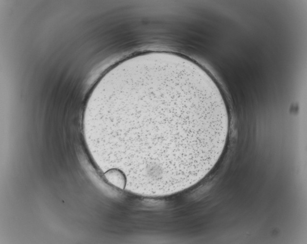 X0000113140437200910161159