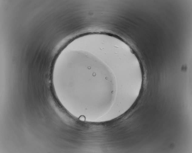 X0000113140438200910161159