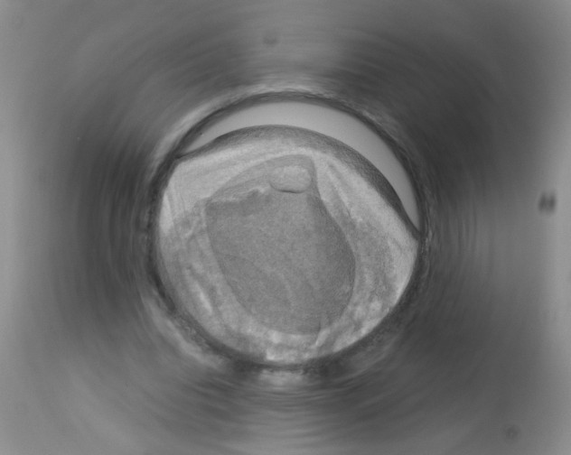 X0000113140440200910161159