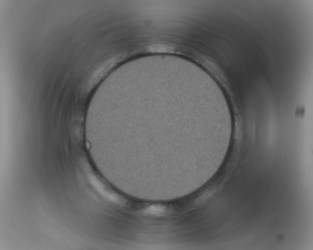 X0000113140441200910161159