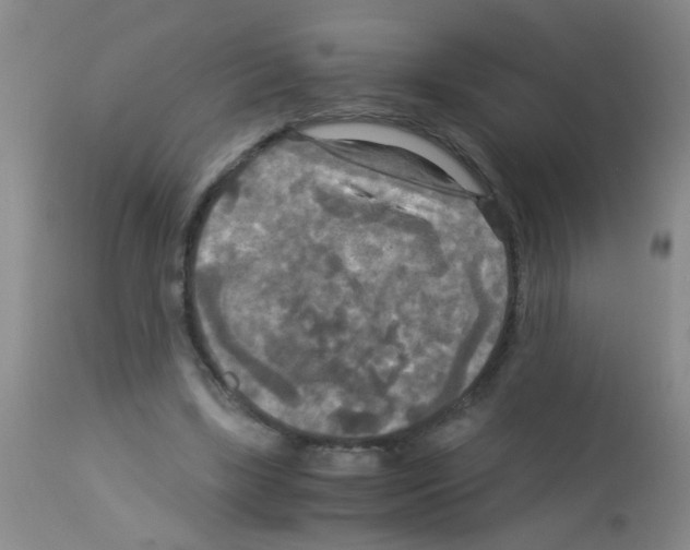 X0000113140443200910161159