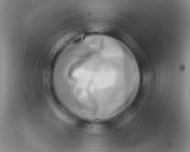 X0000113140444200910161159