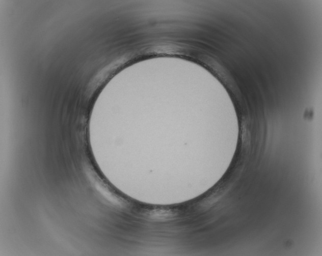 X0000113140445200910161159