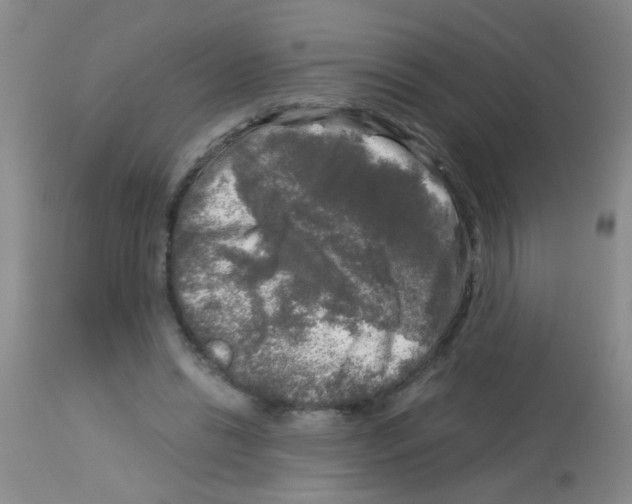 X0000113140446200910161159