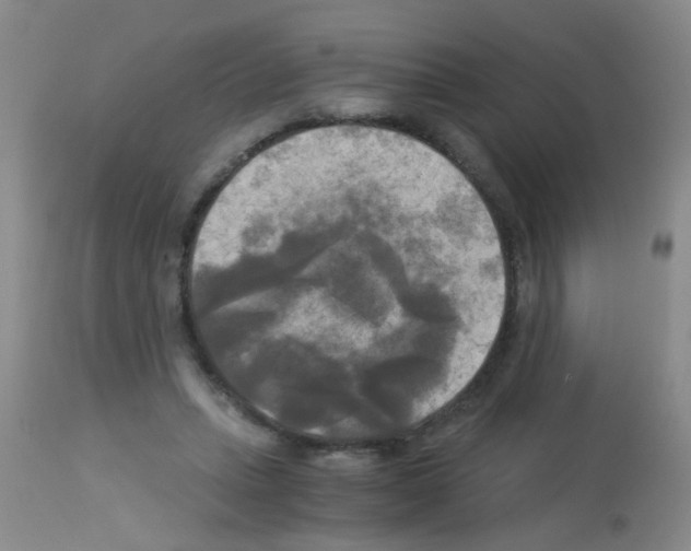 X0000113140447200910161159