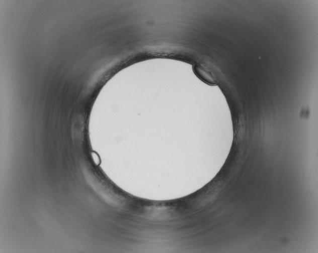 X0000113140448200910161159