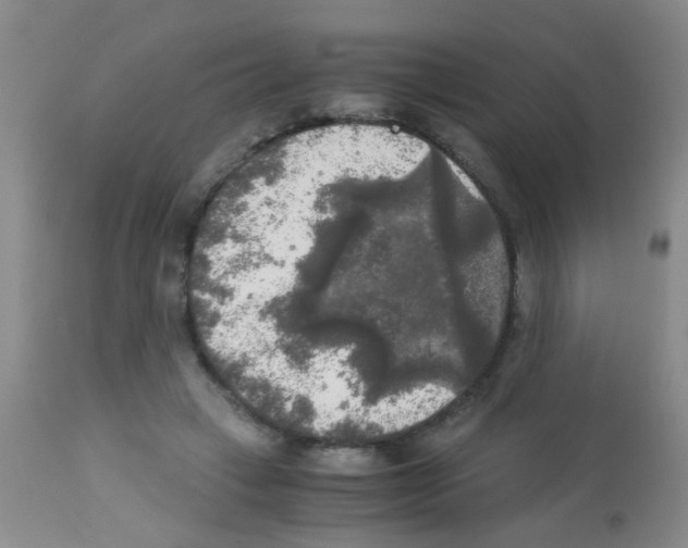 X0000113140449200910161159
