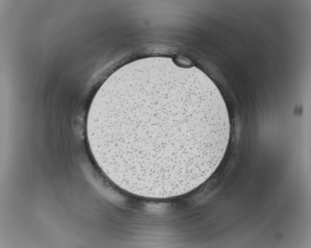 X0000113140450200910161159
