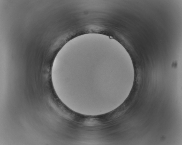 X0000113140451200910161159