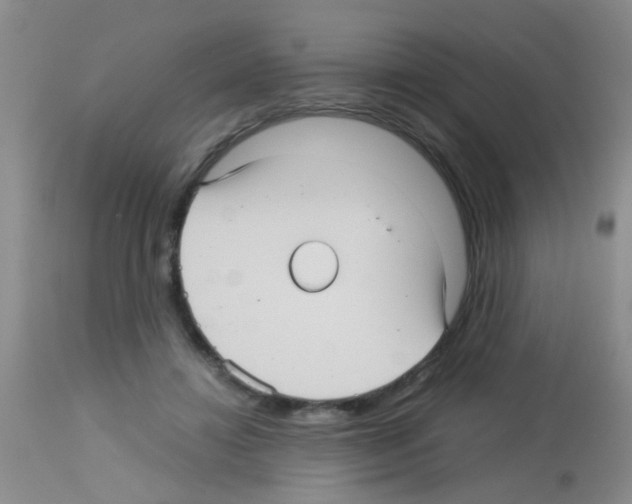 X0000113140452200910161159