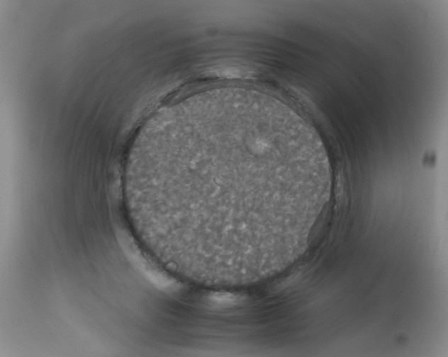 X0000113140453200910161159