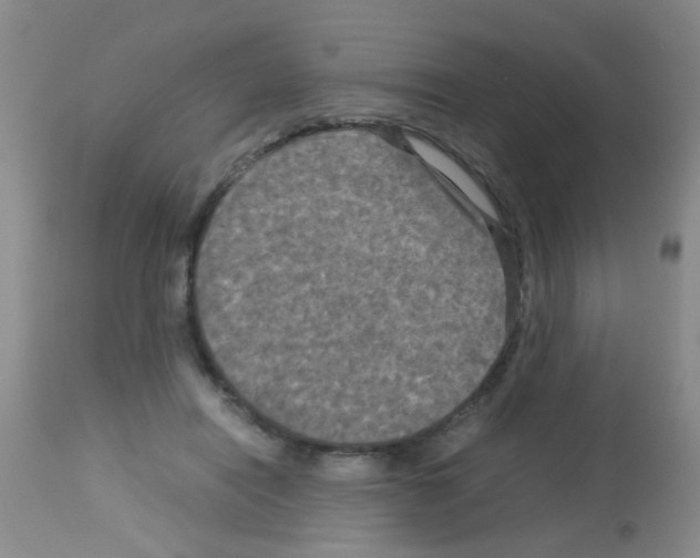 X0000113140454200910161159