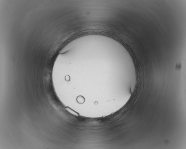 X0000113140456200910161200