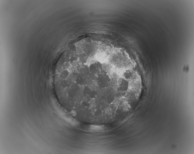 X0000113140457200910161200
