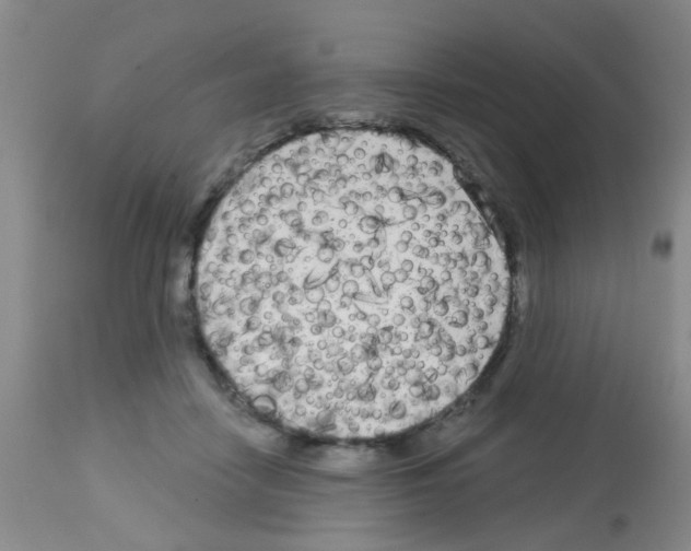 X0000113140458200910161200
