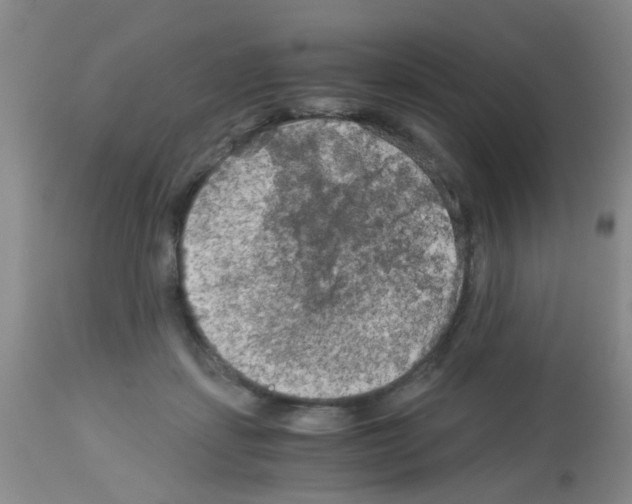 X0000113140459200910161200