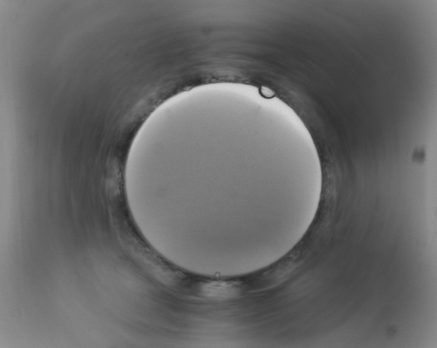 X0000113140465200910161200