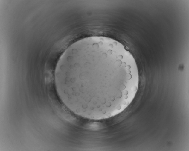X0000113140467200910161200
