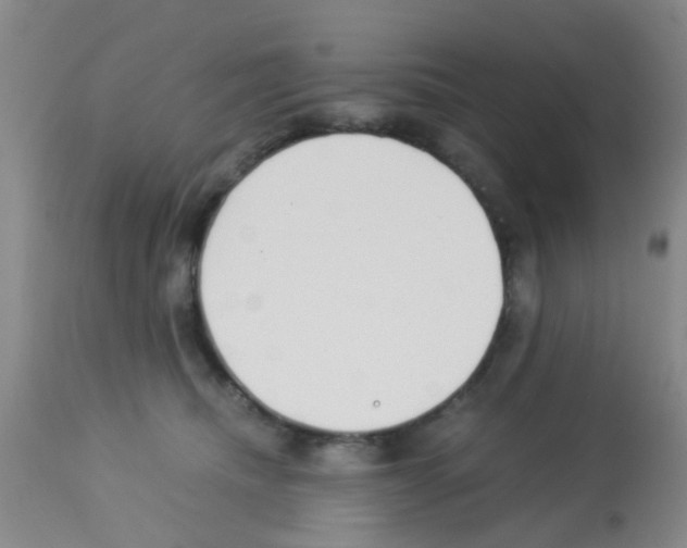 X0000113140468200910161200
