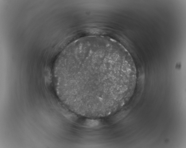 X0000113140469200910161200
