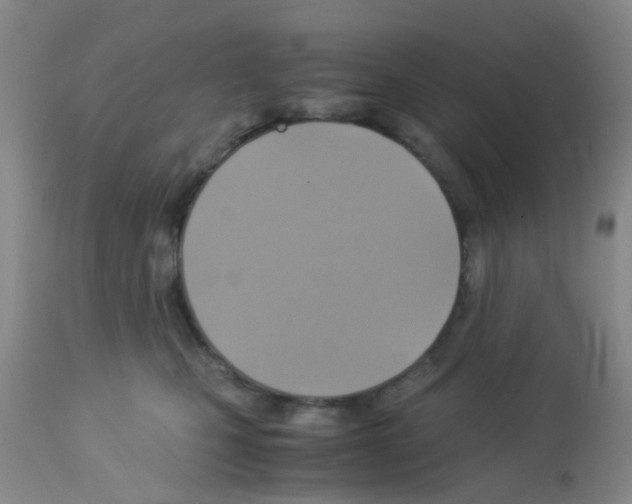X0000113140471200910161200