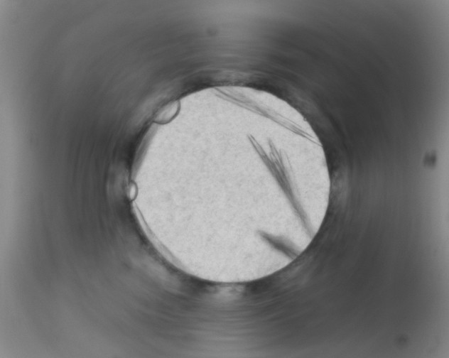 X0000113140474200910161200